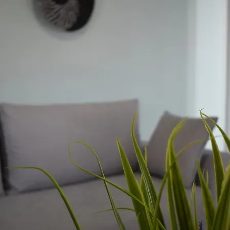 公寓 Marilia's House Prínos